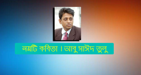 নয়টি কবিতা । আবু সাঈদ তুলু